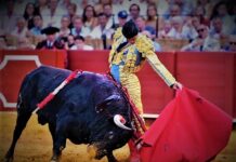 San Miguel Sevilla: Aguado Puerta del Príncipe
