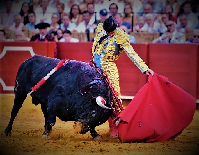 San Miguel 2a-26-1