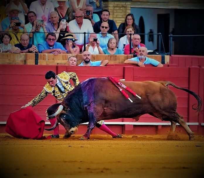SanMiguel-26-1