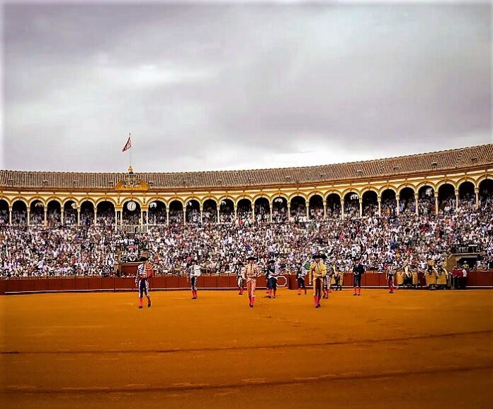 SanMiguelCierre