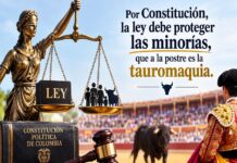 Faena Difícil Con Viable Salida de Triunfo…