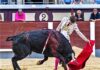 Madrid: El Otoño Abre con Verdad y Exigencia