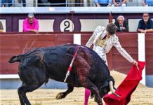Madrid: El Otoño Abre con Verdad y Exigencia