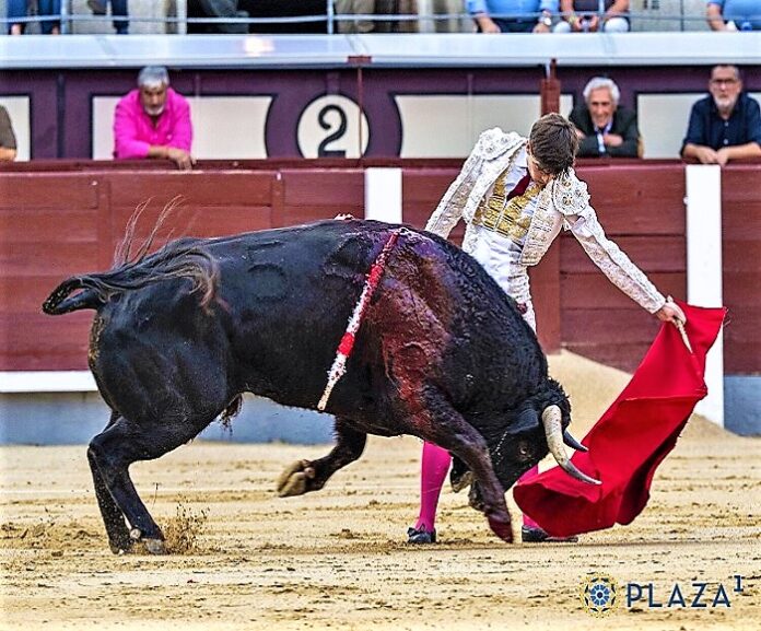 1aOtoño-LasVentas-26