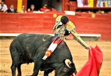 Acho: Torería Sin Trofeos