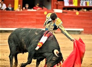 Acho: Torería Sin Trofeos
