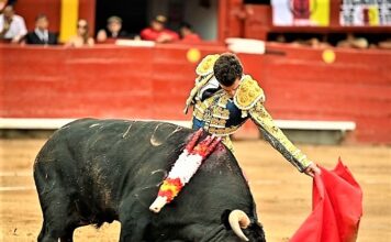 Acho: Torería Sin Trofeos