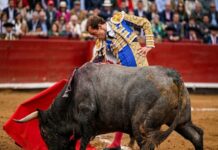 Acho: Román Faena de Verdad, el Acero lo Dejó Sin Premio
