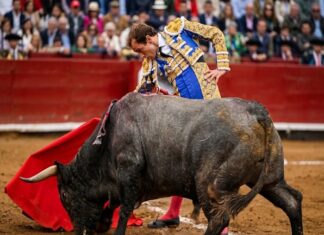 Acho: Román Faena de Verdad, el Acero lo Dejó Sin Premio
