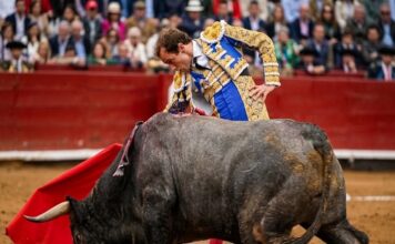 Acho: Román Faena de Verdad, el Acero lo Dejó Sin Premio