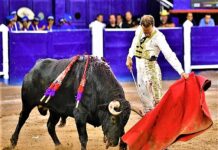 Ferrera Roza el Triunfo en Aguascalientes