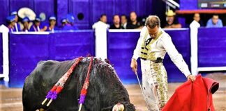 Ferrera Roza el Triunfo en Aguascalientes