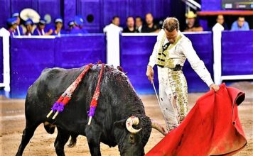 Ferrera Roza el Triunfo en Aguascalientes