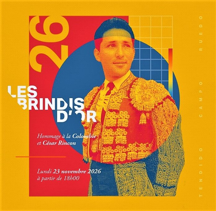 Brindisdor2026