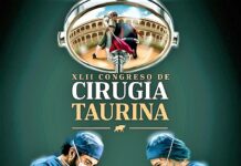 Ronda, Laboratorio de la Cirugía Taurina