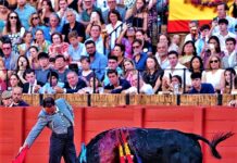 Sevilla: El Maestro Rincón y la Solidaridad Hicieron Suyo el Albero