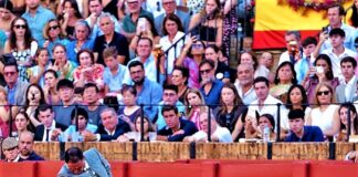 Sevilla: El Maestro Rincón y la Solidaridad Hicieron Suyo el Albero