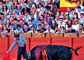 Sevilla: El Maestro Rincón y la Solidaridad Hicieron Suyo el Albero
