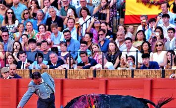 Sevilla: El Maestro Rincón y la Solidaridad Hicieron Suyo el Albero