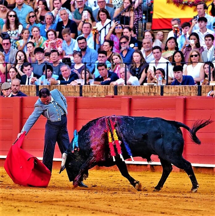FestivalSevilaM-Rincón