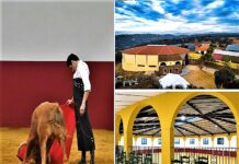 Guadalmena Estrena Plaza de Tientas con Emilio de Justo