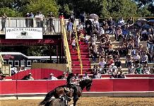 Jacobo Botero: El Reto del Rejoneo en Thornton