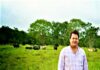 Herido de Gravedad Ganadero Edgar Varela en su Finca por un Toro
