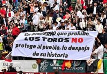 Toros y Ciudad de Manizales: La Historia No Miente, No Se Borra