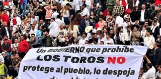 Toros y Ciudad de Manizales: La Historia No Miente, No Se Borra