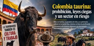 Reflexión: Colombia Taurina, Prohibición, Leyes Ciegas y Sector en Riesgo
