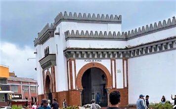 TauroEscuela de Manizales: Una Voz Por el Futuro Taurino
