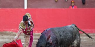 Manolo Castañeda, 3 Orejas y Una Tarde Para Creer