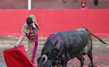 Manolo Castañeda, 3 Orejas y Una Tarde Para Creer